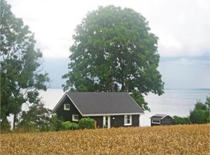 Holiday Græskobbel | Asserballeskov