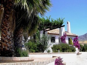 Finca Lomas De Tienda Antequera | Antequera