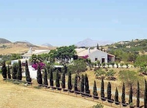 Finca Lomas De Tienda Antequera | Antequera