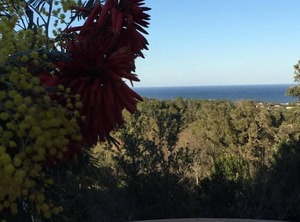 Accommodation Cervione | Cervione