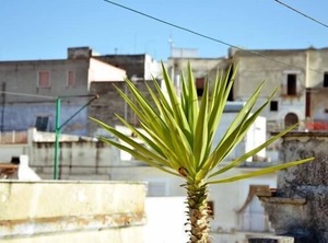 Holiday Canosa Di Puglia Persons Bedrooms | Canosa di Puglia