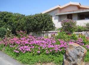 The Sea | Santa Caterina