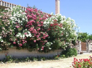 The Sea | Santa Caterina