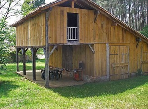 Hollebarde Léon | Leon