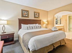 Carriage Country | Oro-Medonte