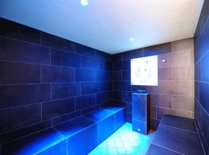 Hotel Gasthof Zum Schwanen Incl Lift Pass Hb | Pflach