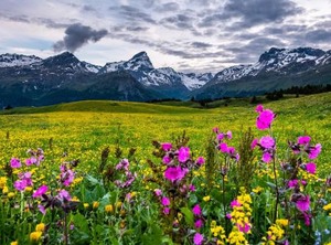 Hotel Grischuna | Bivio