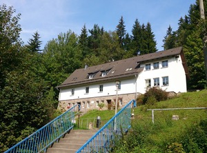 Lütsche The Forest | Frankenhain