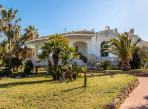 Villa Ninth Street | San Lorenzo