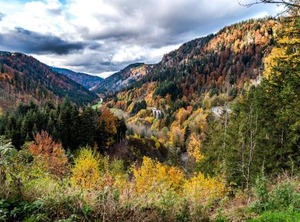 Hinterzarten | Hinterzarten