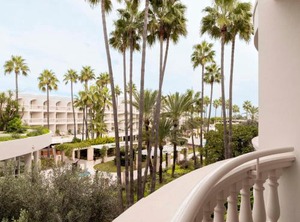 Iberostar Albufera Park | Muro