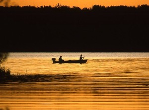 Gull Haven | Lake Shore