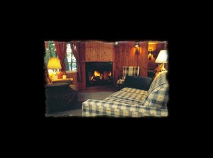 Gull Haven | Lake Shore