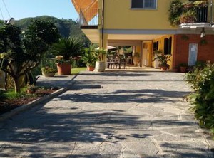 Il Murice | Carozzo