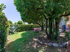 Villa Il Pesco | Porto Recanati