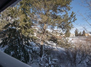 Wilson | Teton Pines