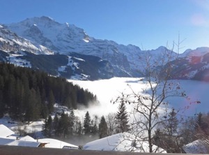 Jungfrau Der Ledi | Wengen