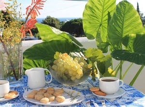 Clube Albufeira | Sesmarias