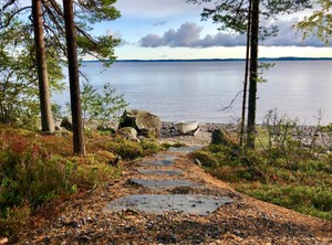 Kolinpilvi | Koli National Park
