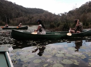 Kurrajong Trails Cottages | Wheeny Creek