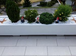 Lärchenwald | Leukerbad