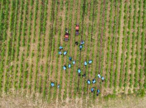 La Boulonne | Festigny