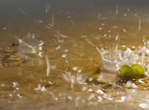 La Boulonne | Festigny