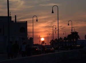 Terrazza Di Alcino | Torre Canne