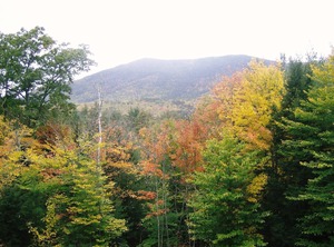 North Conway | Birch Hill