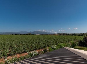 Terres Rouges | Tallone
