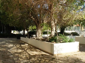 Limnaria West Park | Paphos