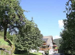 Golfing Horse Riding | Schmallenberg