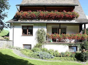 Golfing Horse Riding | Schmallenberg