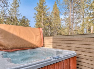 Virginia Rail | Sunriver