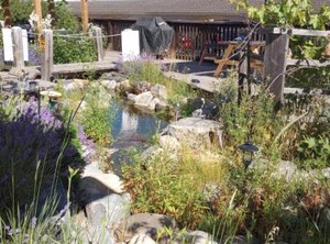 Magnuson Hotel Creston | Creston