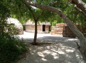 Mida Creek Eco Camp | Watamu