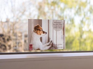 Hotel Mini | Odense