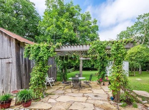 Mistletoe | Fredericksburg