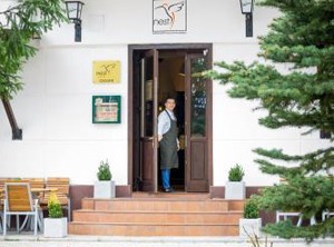 Nest | Drobeta-Turnu Severin