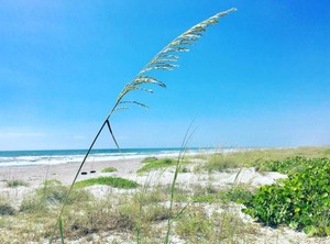 Ocean Beach Villas | Crescent Beach