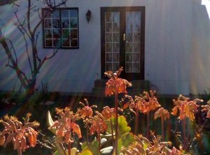 Cottage | McGregor