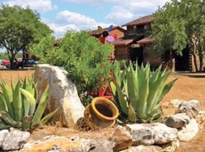 Perennial Vc Bandera Pipe Creek | Bandera