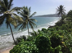Anse Hotel | St. Patrick