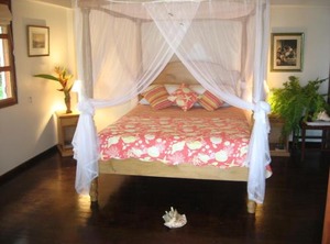 Anse Hotel | St. Patrick