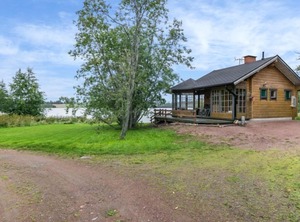 Pikkuvinnari | Ikaalinen