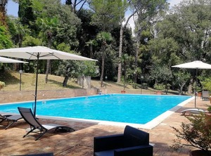 Swimming Use | Treia