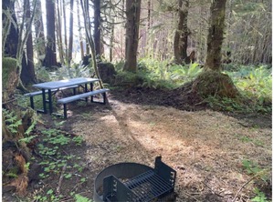 Tent Site Forested Property | Forks