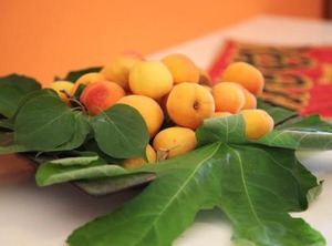 Punta Prosciutto | Torre Lapillo