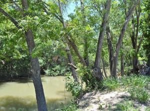 Hr The Bear | Fredericksburg