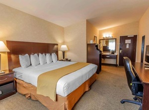 Quality Inn Arlington | Arlington